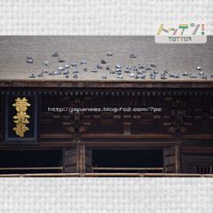 16　Decembre ， 2016