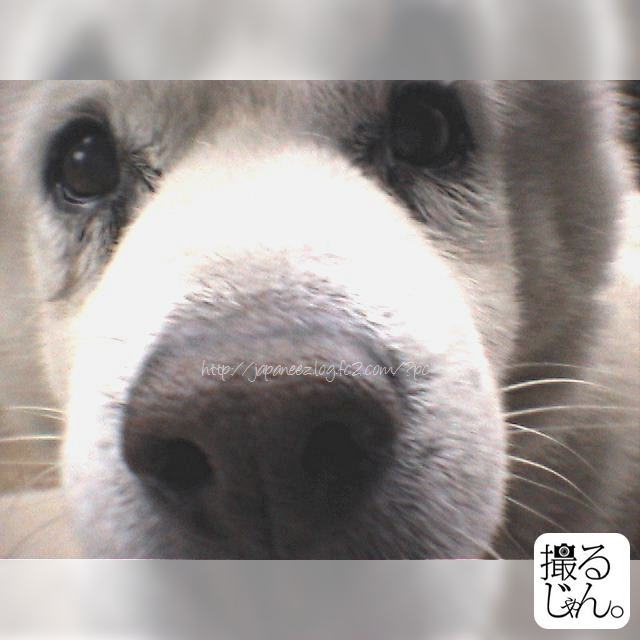 November　19 ， 2016