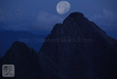 November　15 ， 2016