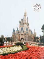 November　11 ， 2016