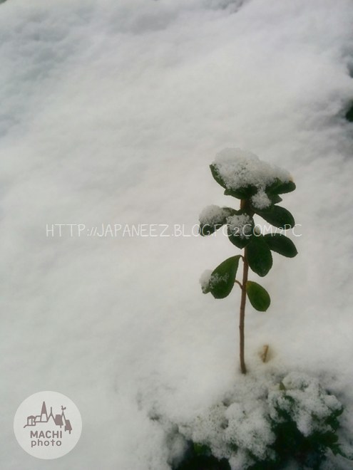 30　Decembre ， 2016