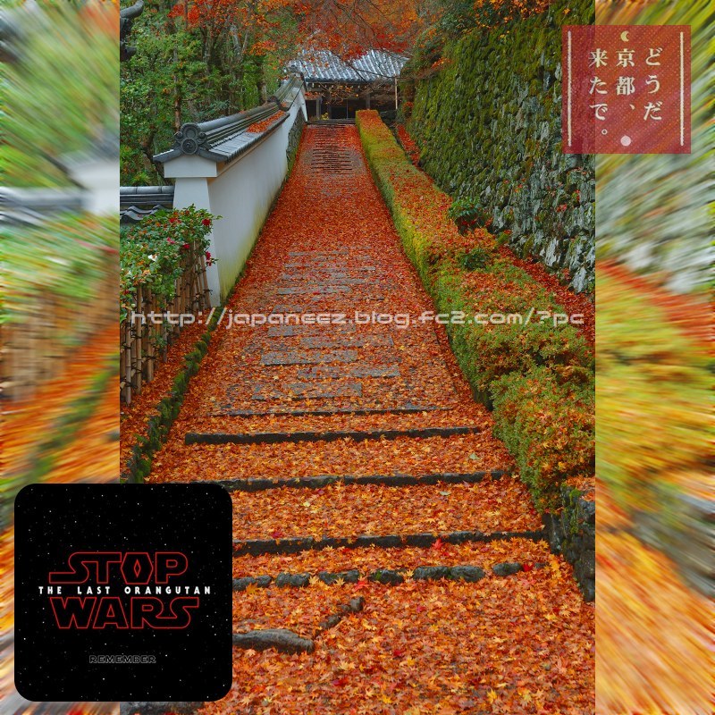 November　2 ， 2017