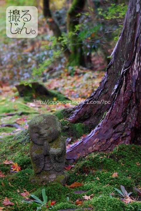 November　16 ， 2016