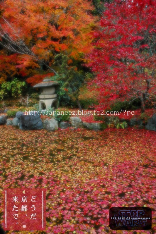 Today’s　available　stock　photo ，＃3200