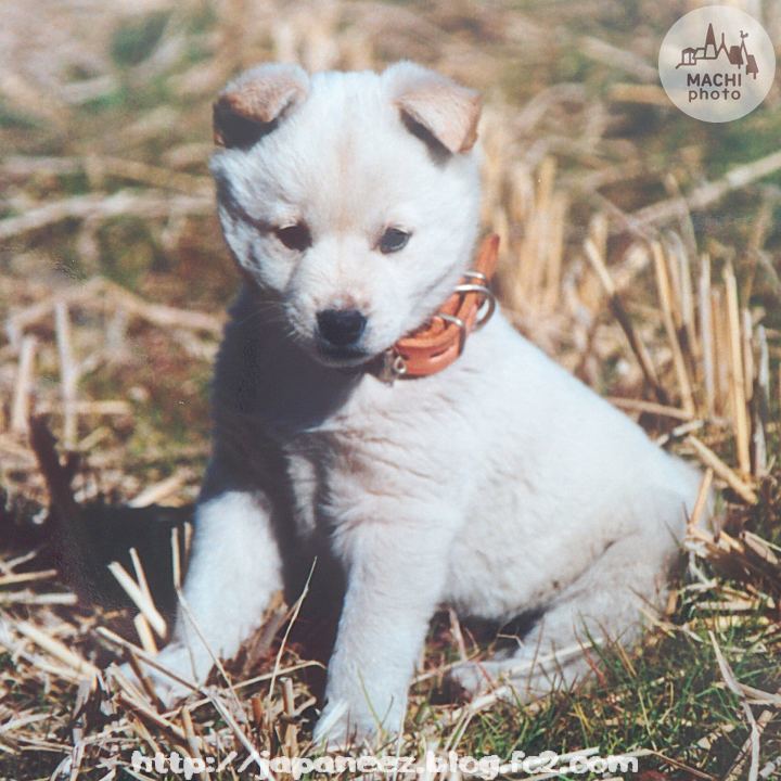 Octobre　7 ， 2016