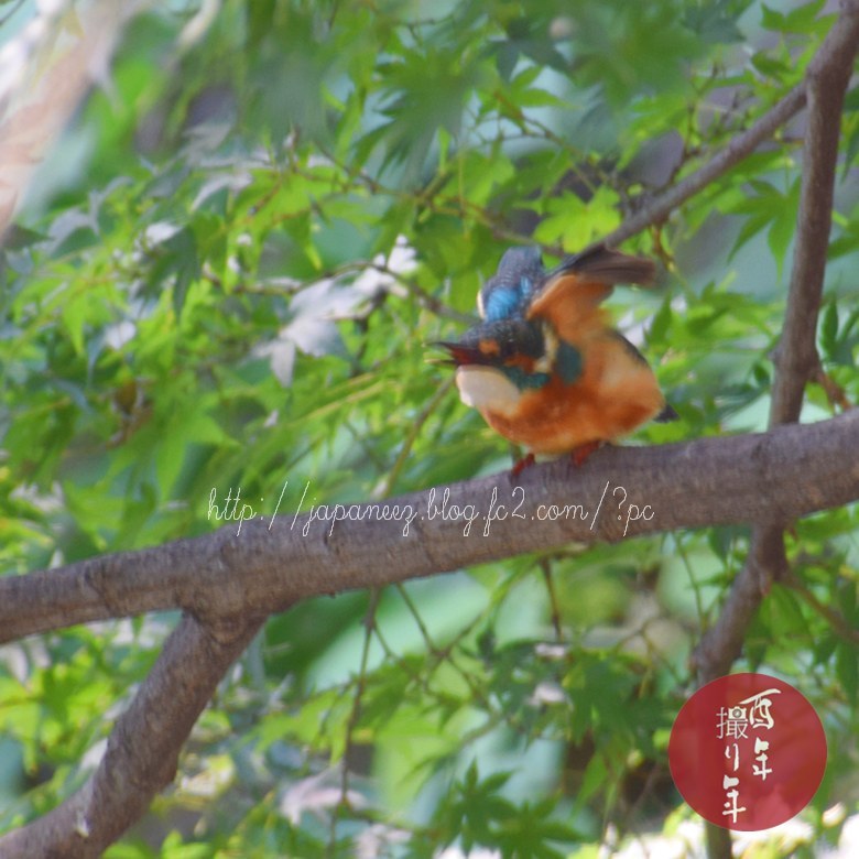 October　7 ， 2017