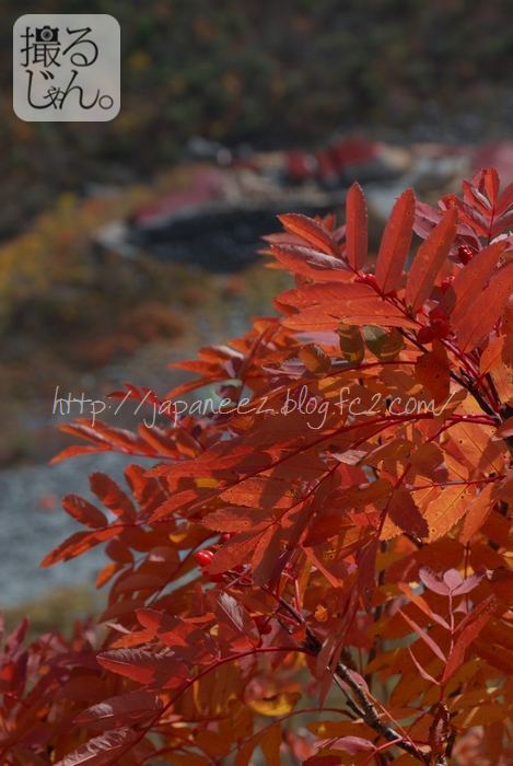 Octobre　3 ， 2016