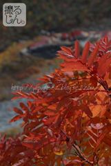 Octobre　3 ， 2016