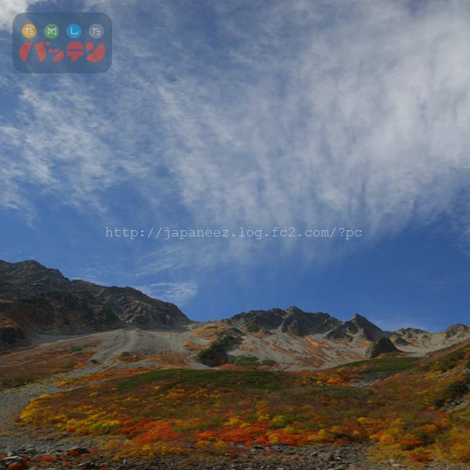 November　21 ， 2016