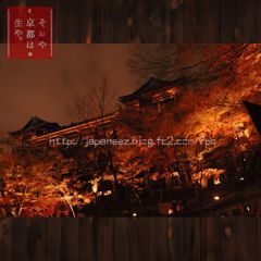 15　Decembre ， 2016