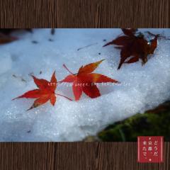 November　26 ， 2016