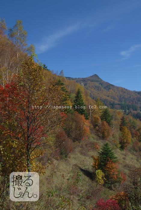 November　3 ， 2016