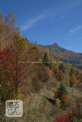 November　3 ， 2016