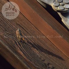 Augustus　27 ， 2016