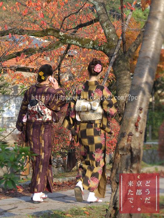 November　17 ， 2016