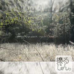 3　Decembre ， 2016