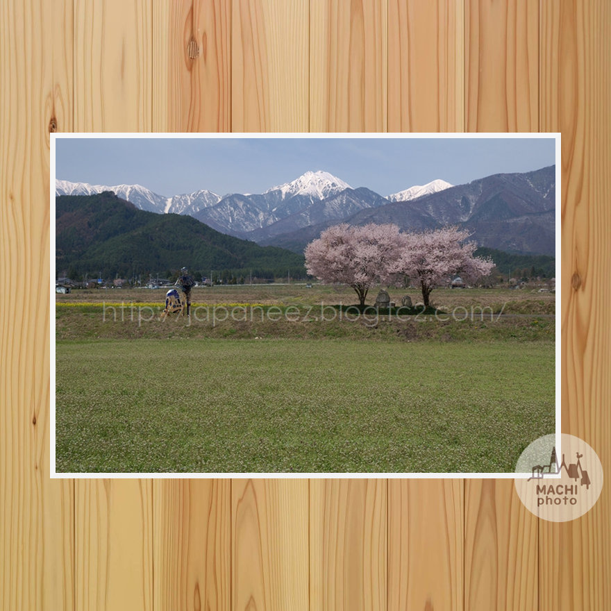 November　17 ， 2016