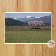 November　17 ， 2016