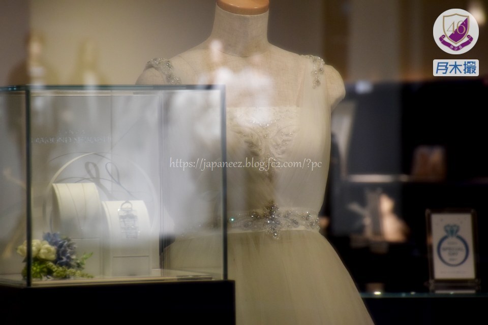 Today’s　available　stock　photo ，＃3506