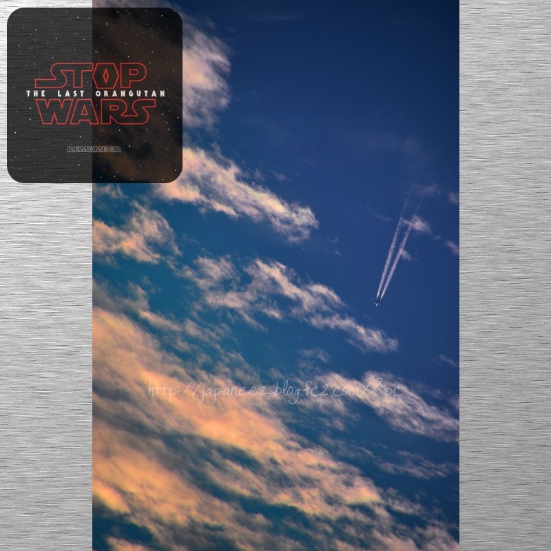 November　13 ， 2017