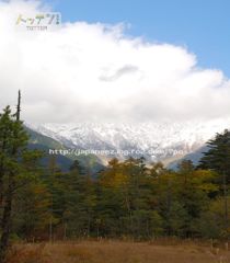 7　Decembre ， 2016