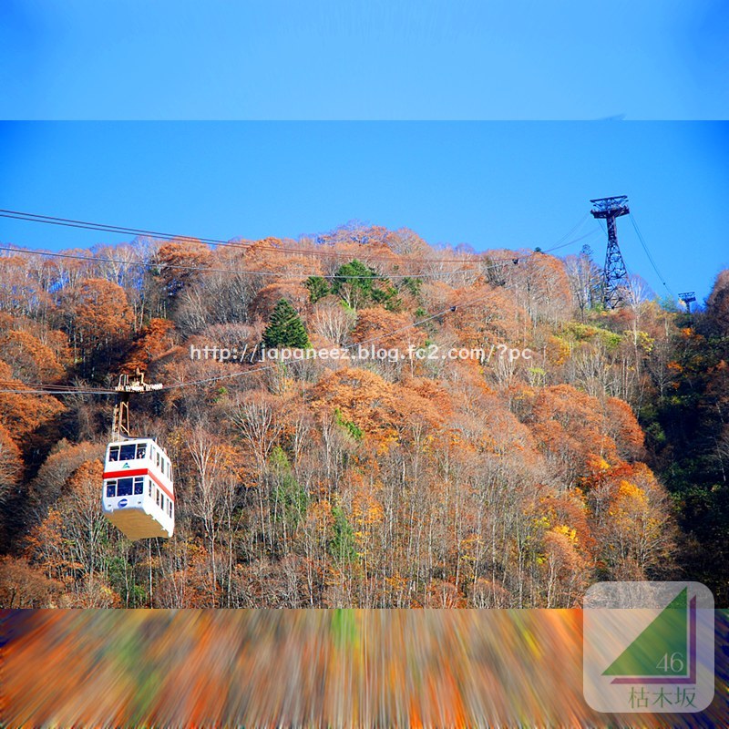 November　11 ， 2017