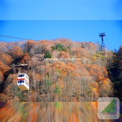 November　11 ， 2017