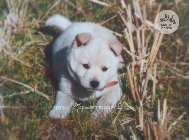 Octobre　22 ， 2016