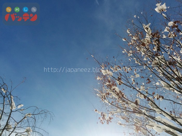 28　January ， 2017