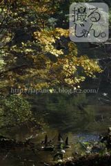 Septembre　18 ， 2016