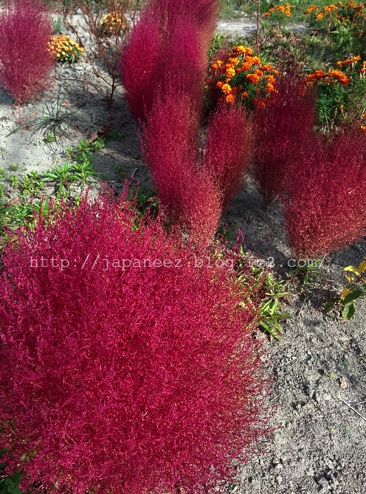 Octobre　22 ， 2016