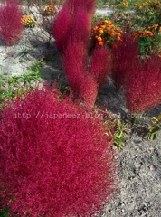 Octobre　22 ， 2016