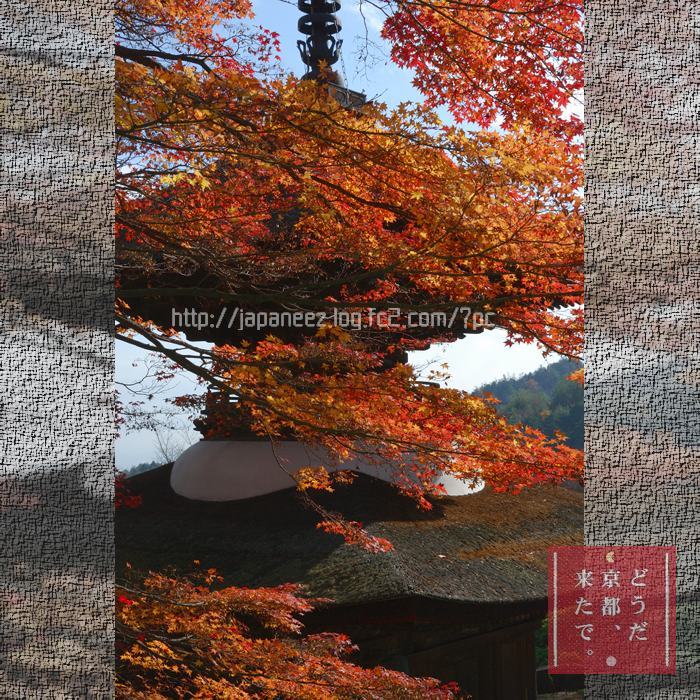 November　17 ， 2016