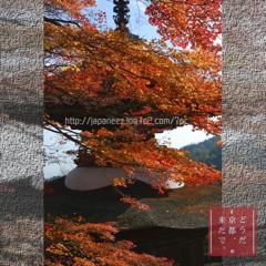 November　17 ， 2016