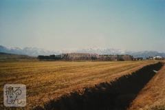 November　5 ， 2016