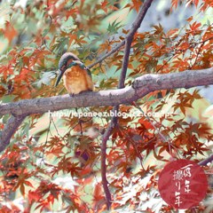 Decembre　6 ， 2017