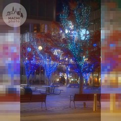 22　Decembre ， 2016