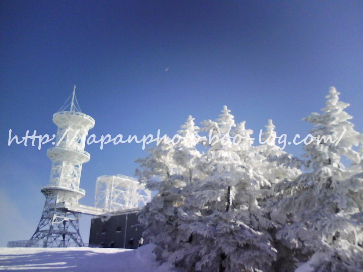 19　January ， 2017