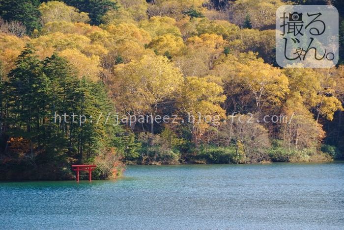 Septembre　29 ， 2016