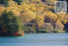 Septembre　29 ， 2016