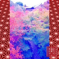 November　9 ， 2017