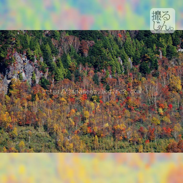 November　15 ， 2016