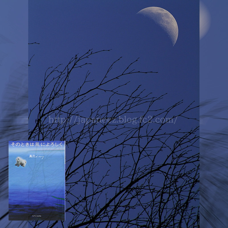 6　Decembre ， 2016