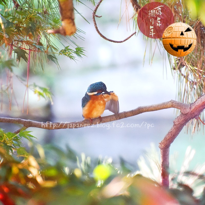 Octobre　28 ， 2017