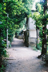 OKINAWA 裏路地