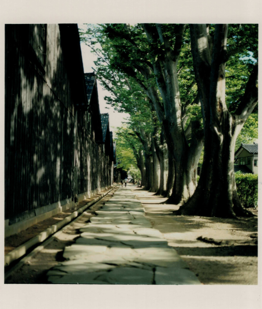 park&shadow18