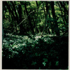 greens05