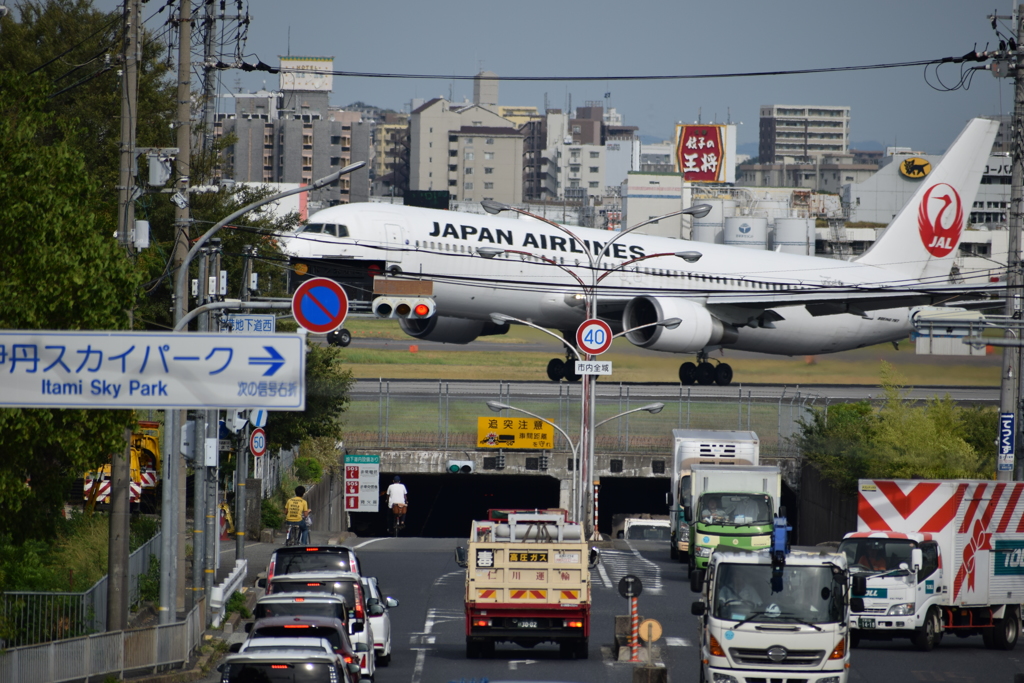 伊丹空港に行ってきました