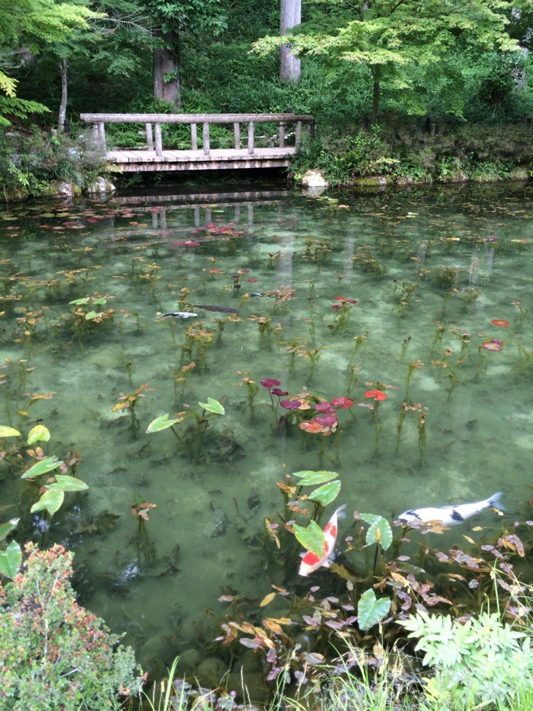 モネの池