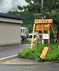 天空の茶畑2016 (6)